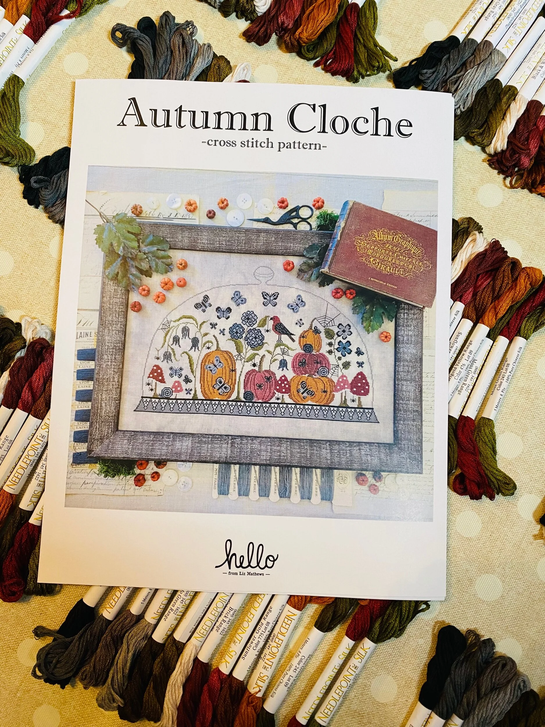 91AC0DE2-B0A9-4917-A20A-A23022EE7CD7