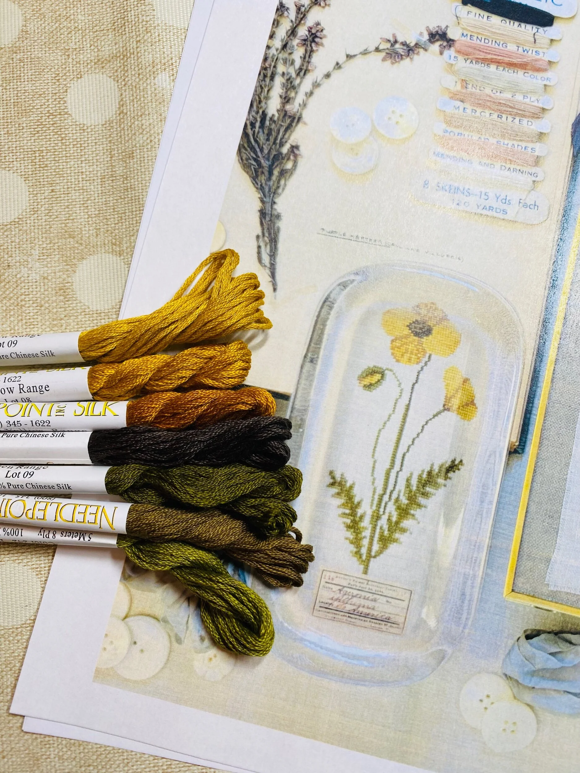 DBA7FEE0-9C78-4EBC-933D-2B8DB4880967