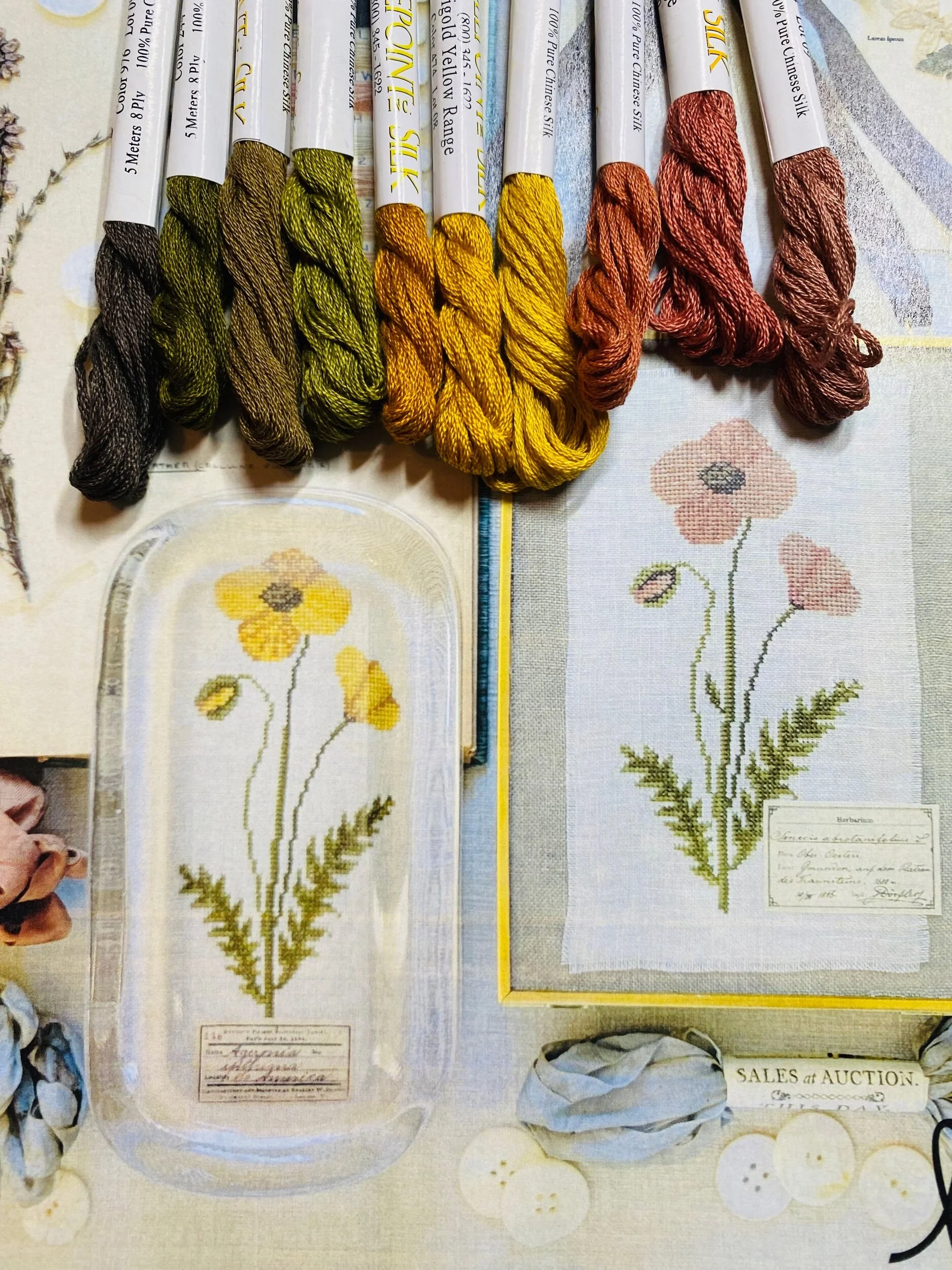 0F311CB1-75DD-4A14-95E3-7D8F8F58FE02