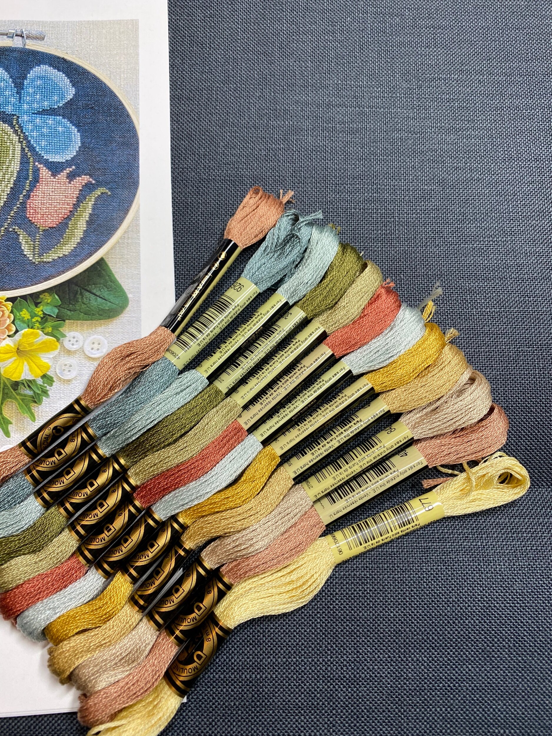 520140E4-0774-415A-913D-0ECA6C158B49