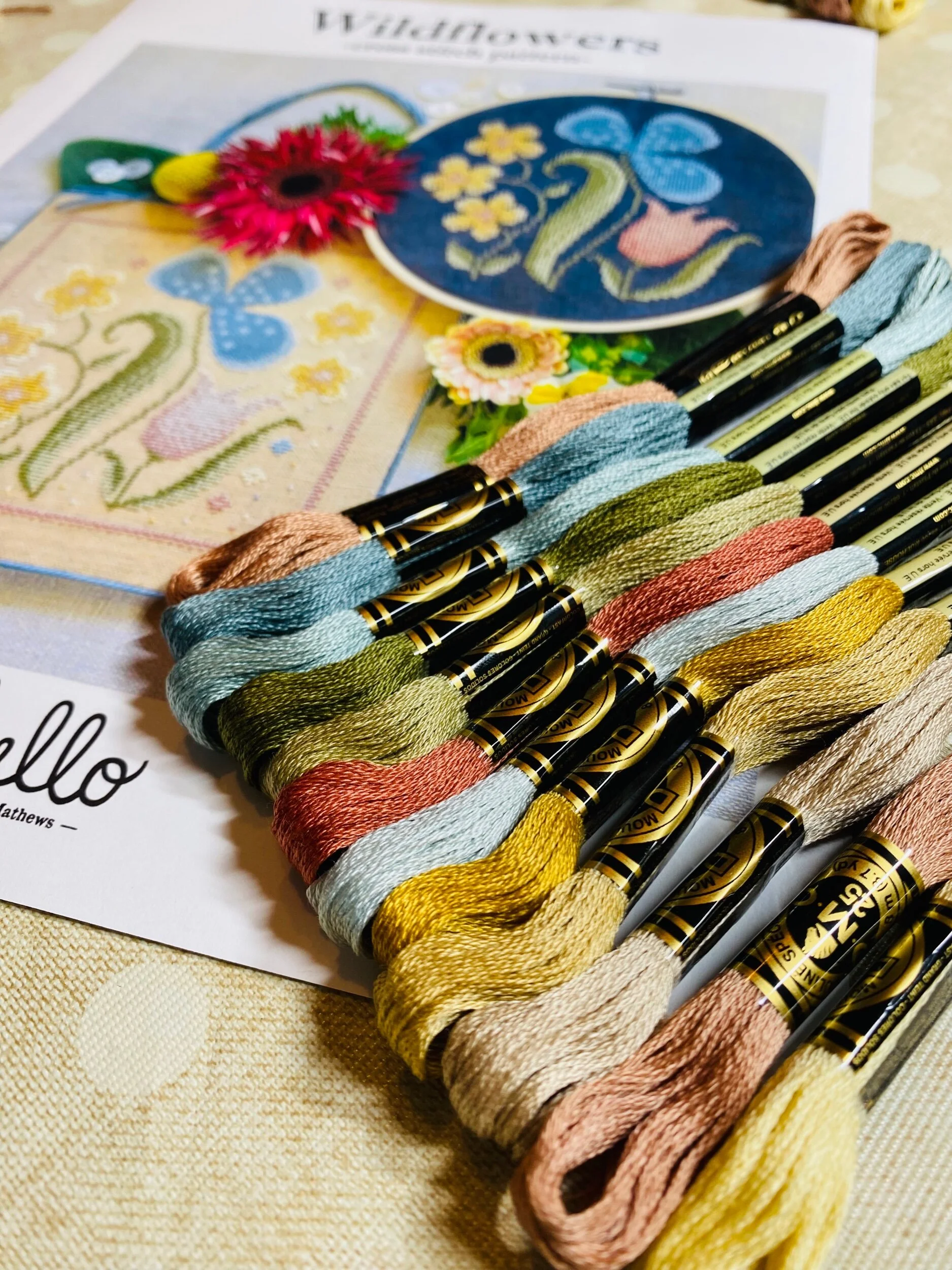 2DA54840-5FD9-4935-8386-7FB01BF2F12A