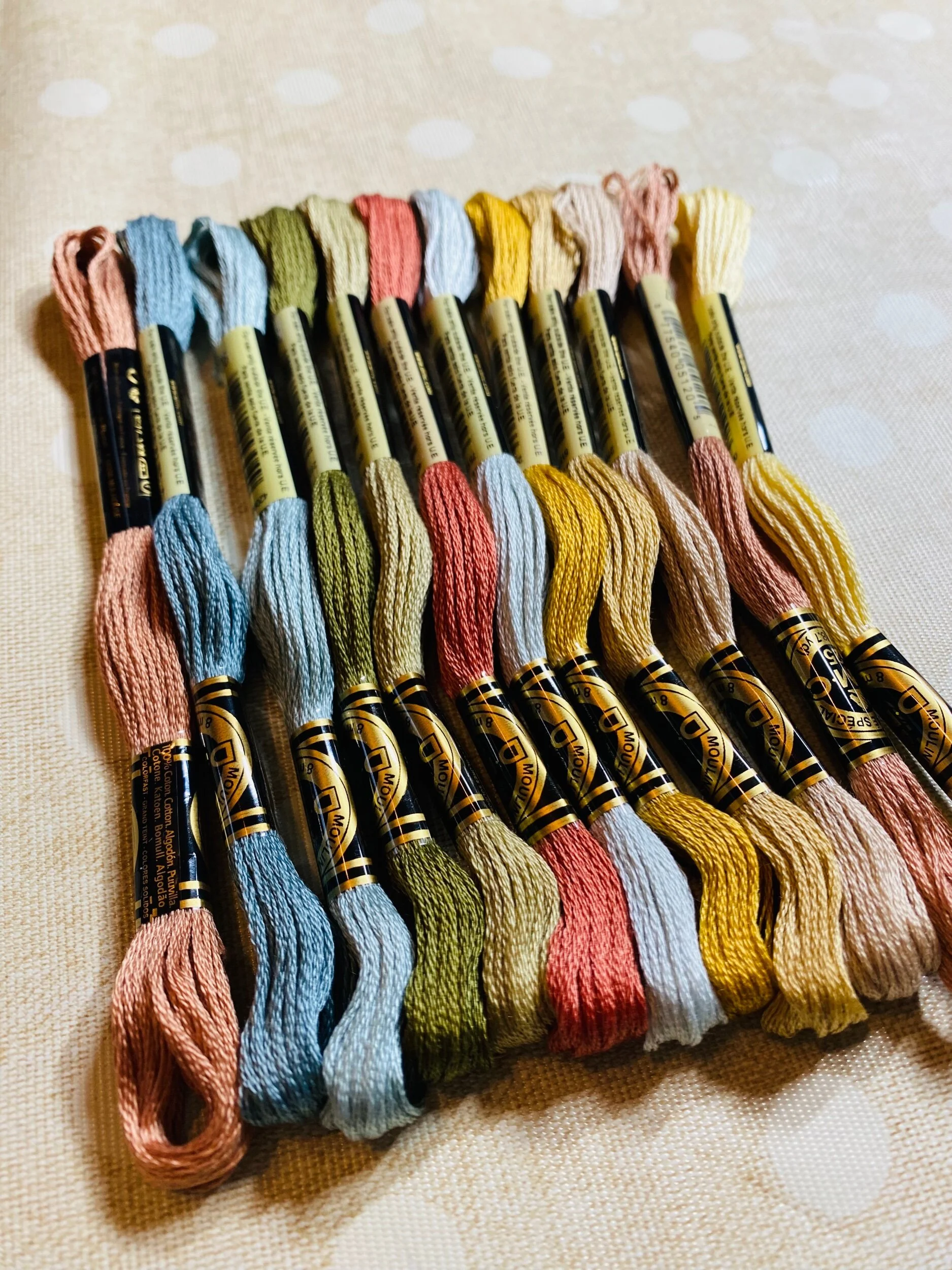 F1DBDC6C-093C-45B0-96F2-0604301F8A30