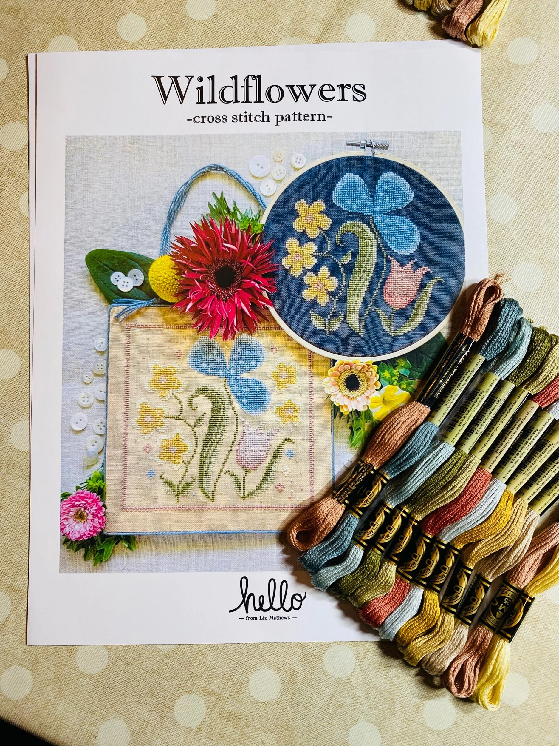 0225791B-B7E6-4DA8-8FD1-CD4EE99AC02A