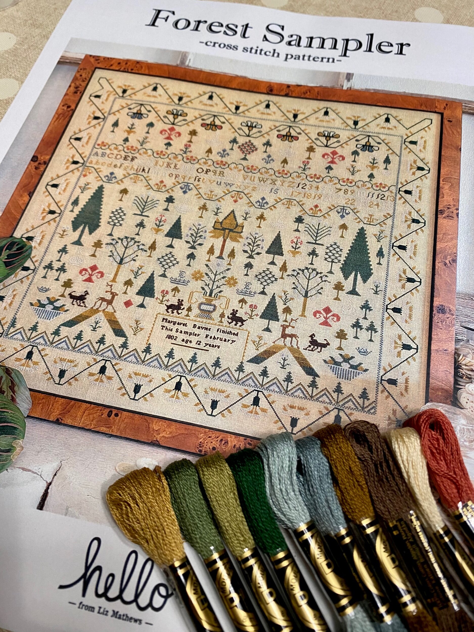 B94F1817-5108-4C91-A423-835EC0AB32C0