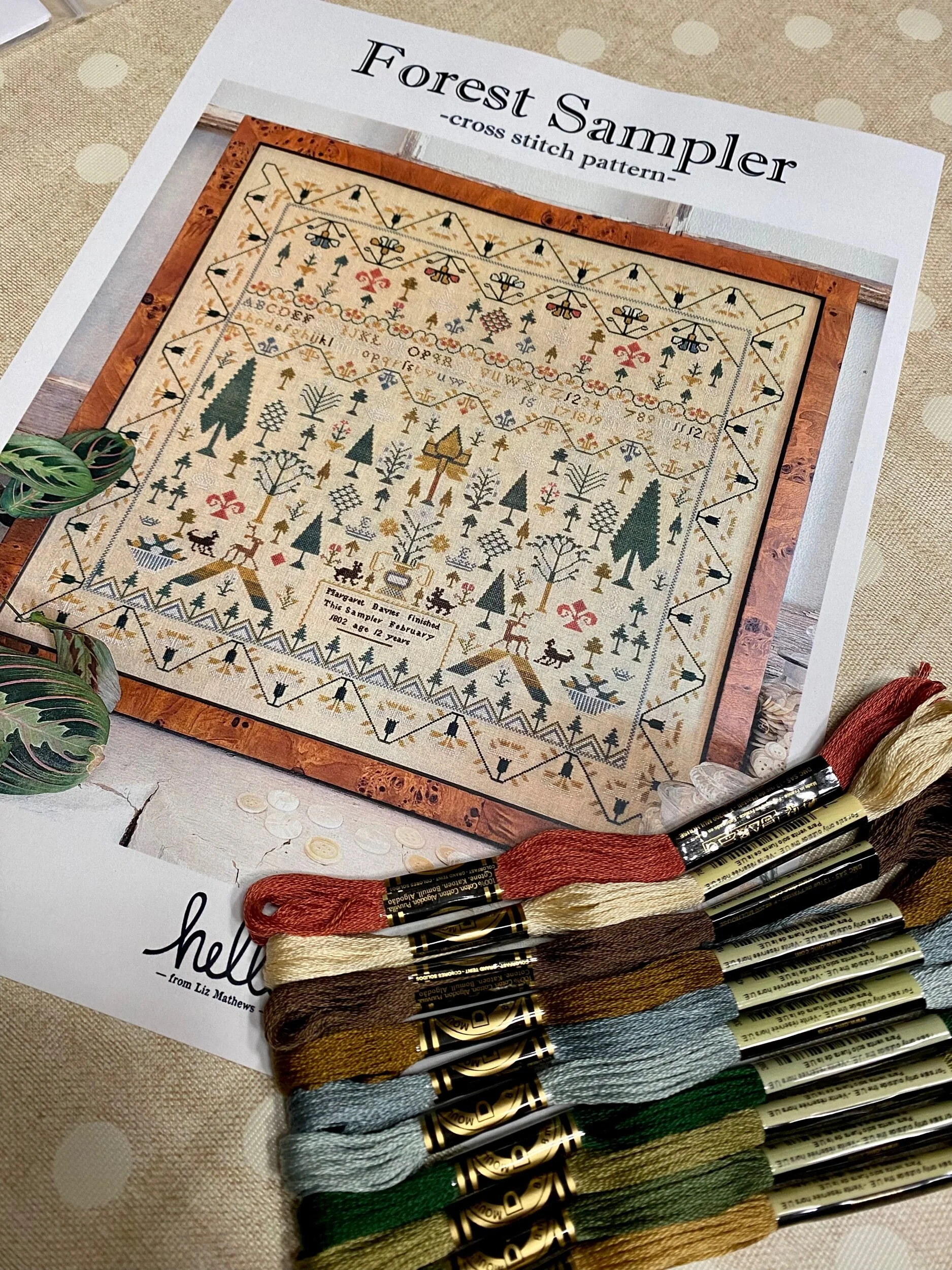 BCC2FABD-08A1-4759-8DD0-051716F1EBC5