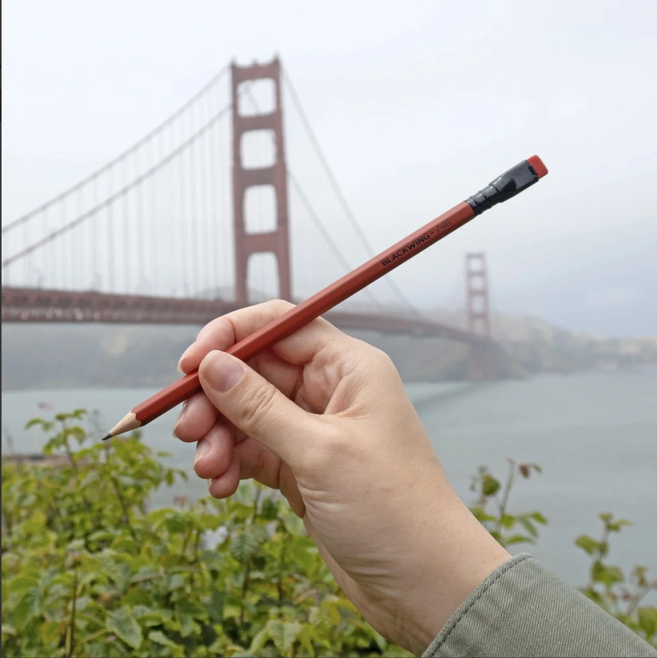 Image 6-26-24 at 9.20 AM (1).jpeg