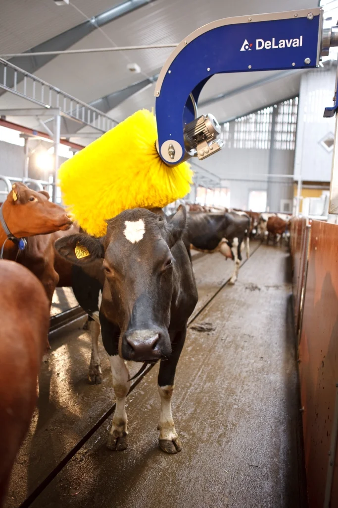 DeLaval swinging cow brush SCB — DMD Picard Enterprises Inc