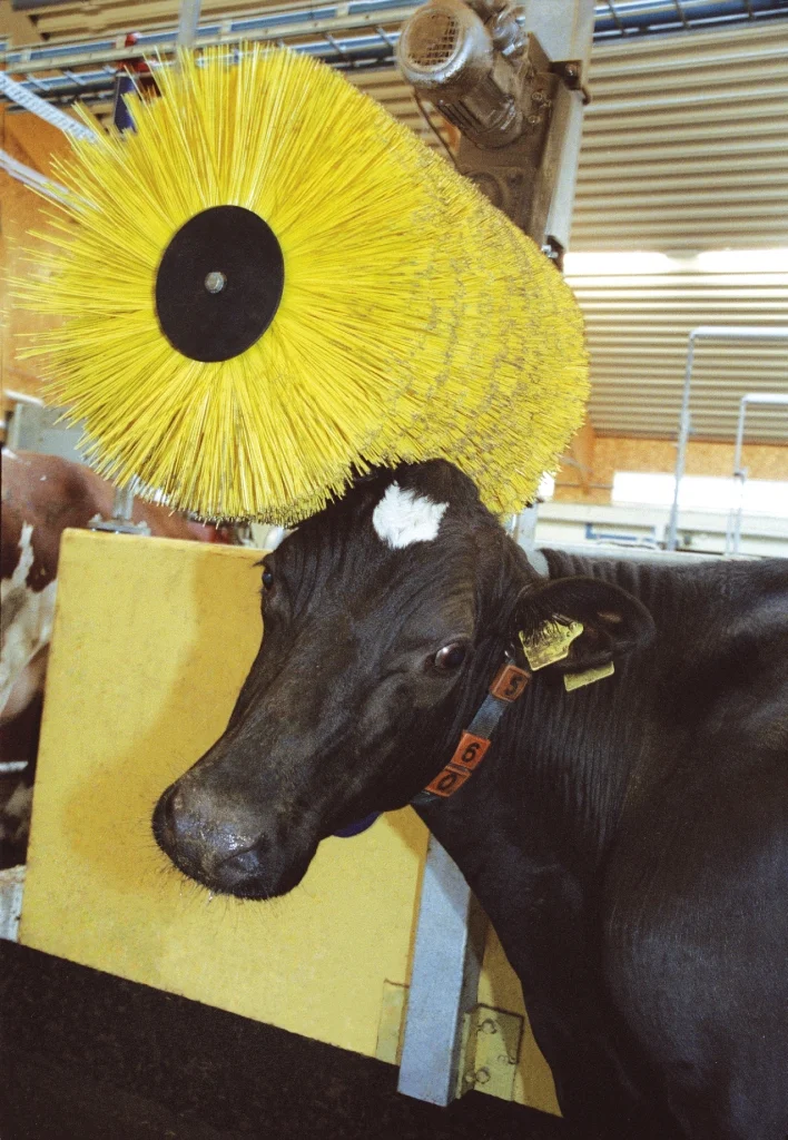DeLaval swinging cow brush SCB — DMD Picard Enterprises Inc