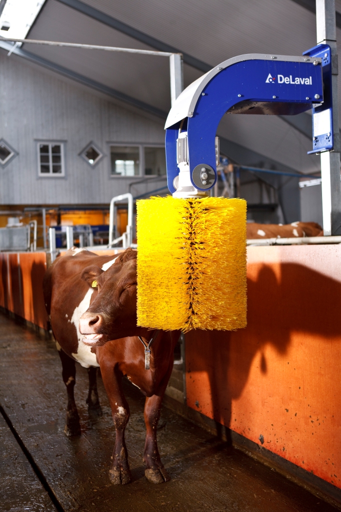 DeLaval swinging cow brush SCB — DMD Picard Enterprises Inc