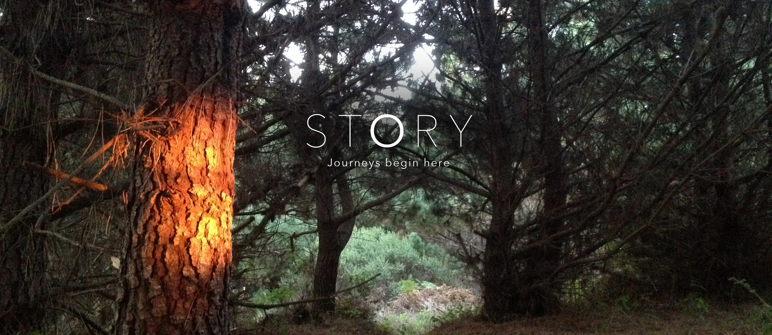 STORY LOGO 2 .jpg