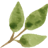 hleafgold9.gif