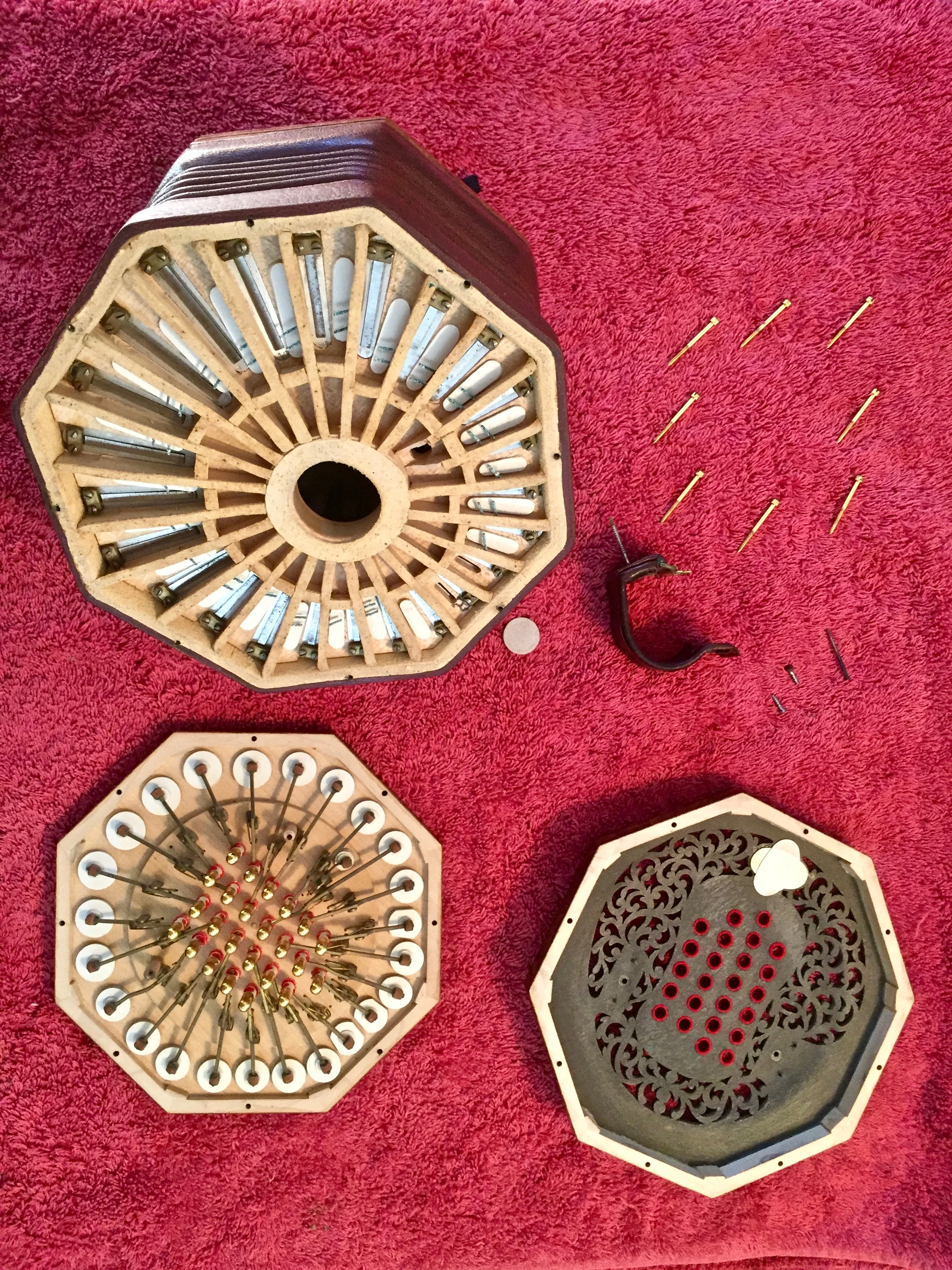 Concertina Inside