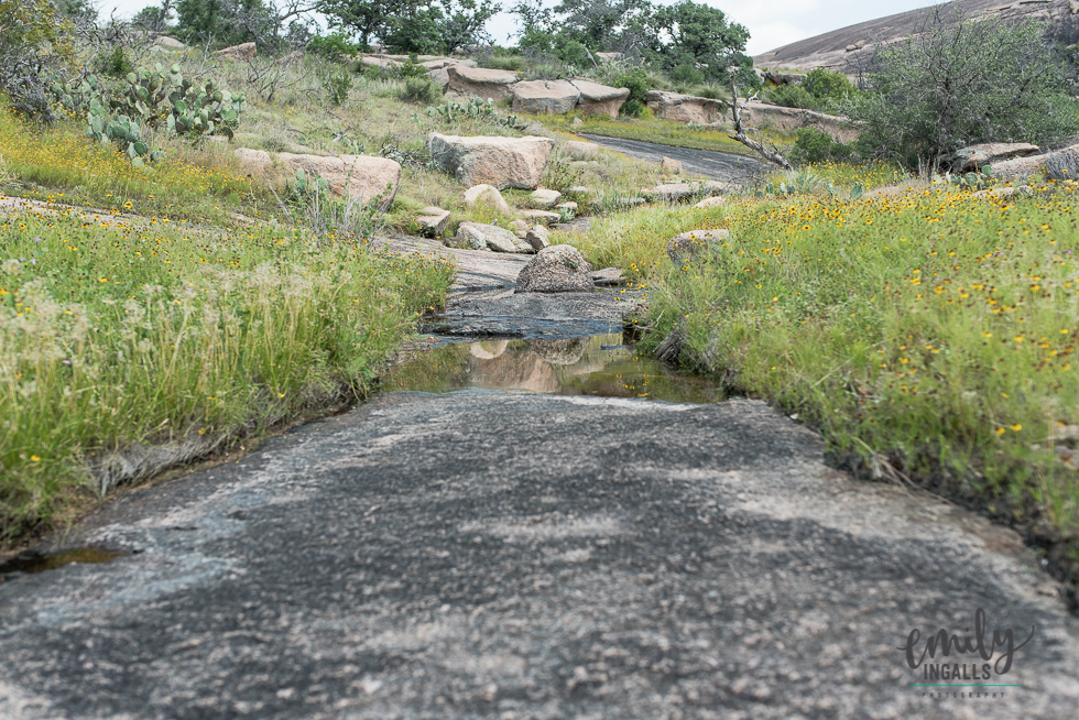 Hiking path/stream