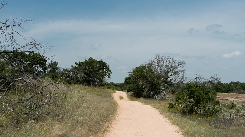 Hiking path