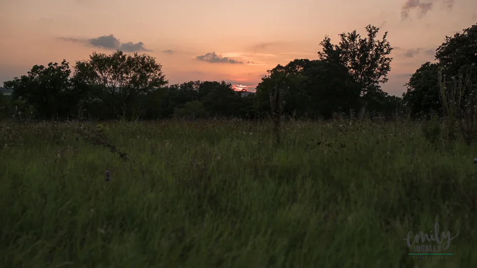 Sunset on our last night