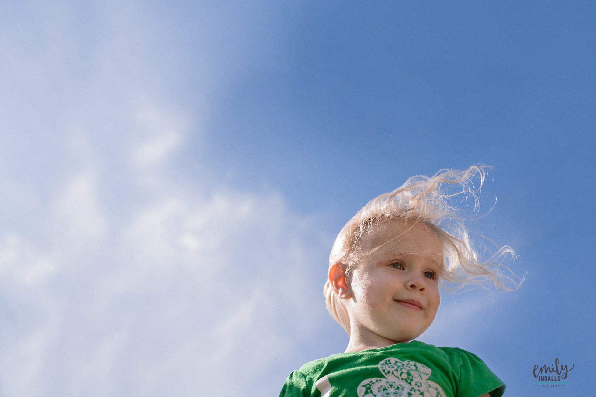 Hair in the Wind.jpg