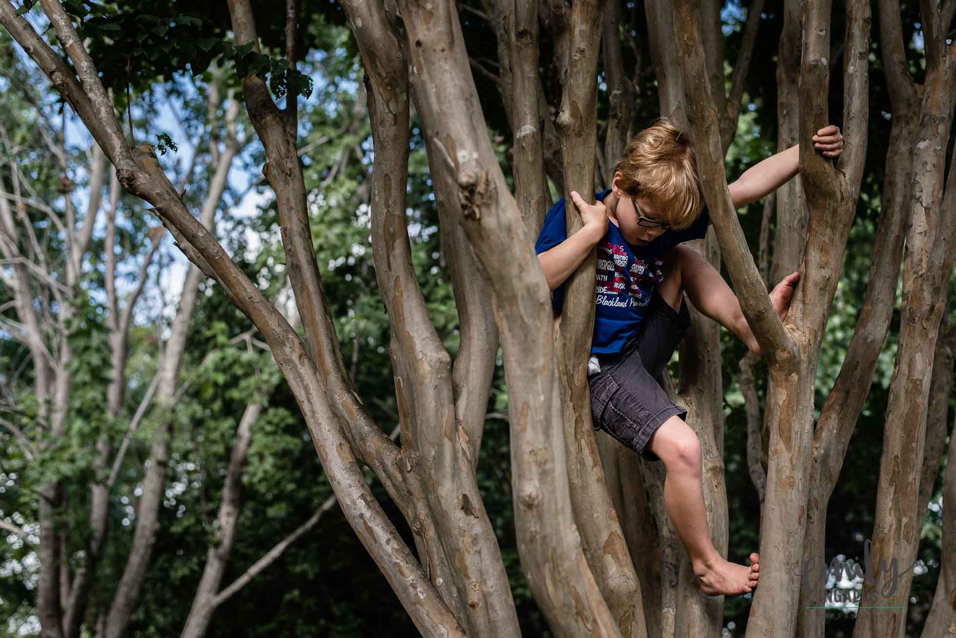 Tree Climbing.jpg