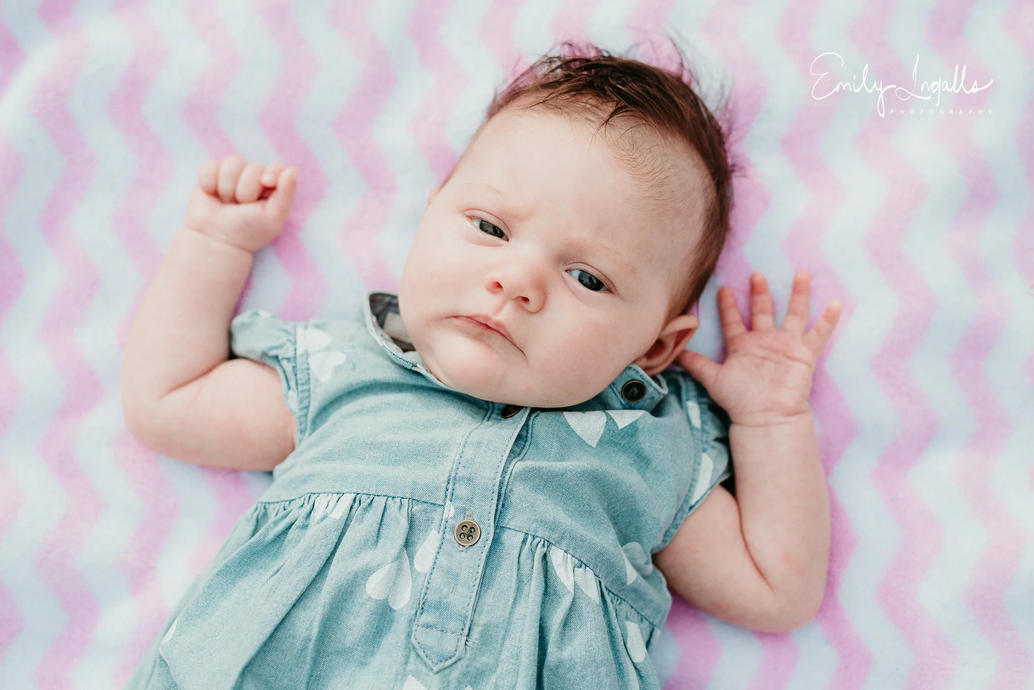 Family Photographer_Round Rock Photographer_Emily Ingalls Photography_Austin Photographer_Pflugerville Photographer_Georgetown Photographer-13.jpg