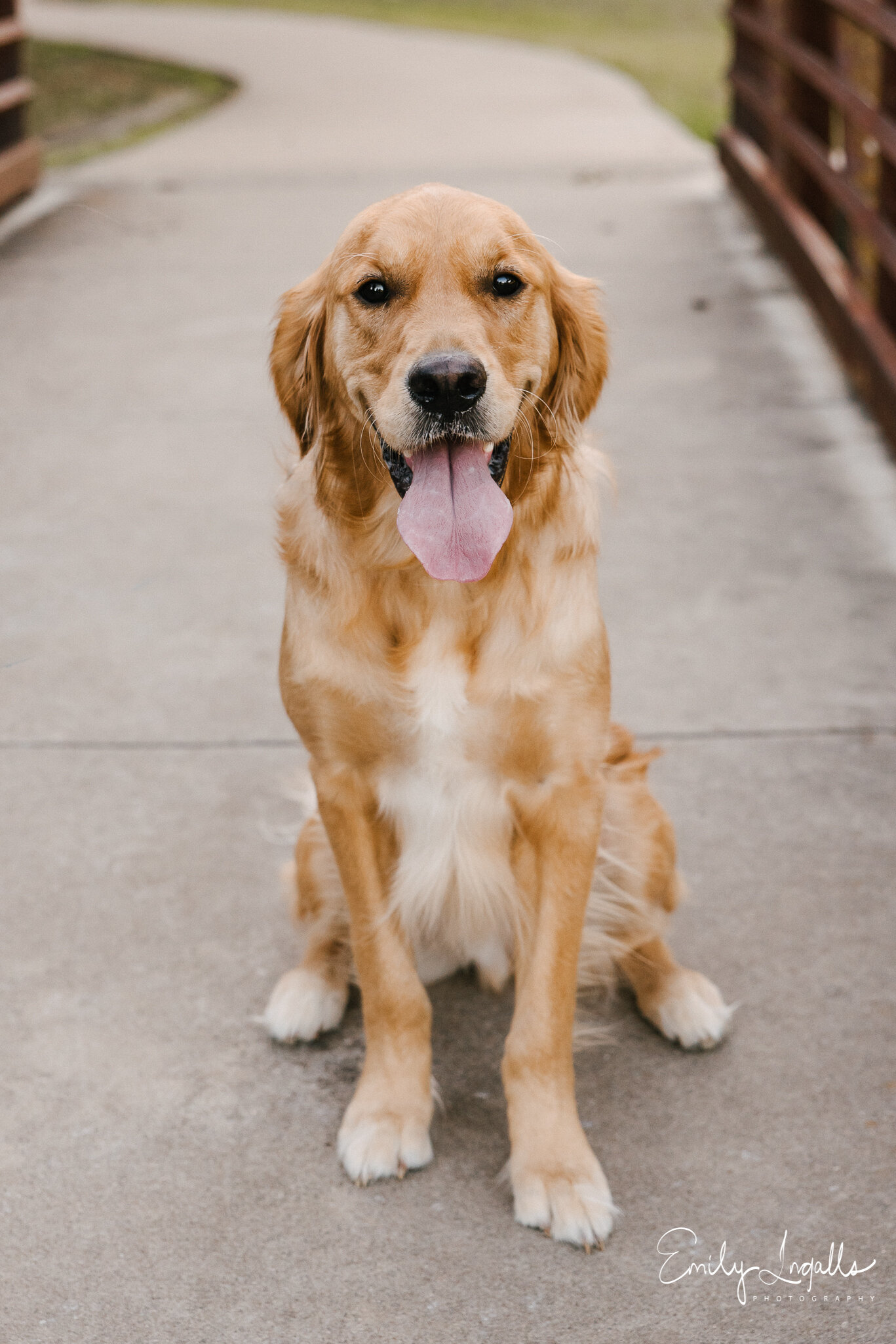 Round Rock Photographer_Emily Ingalls Photography_Austin Photographer_Pflugerville Photographer_Georgetown Photographer-70.jpg