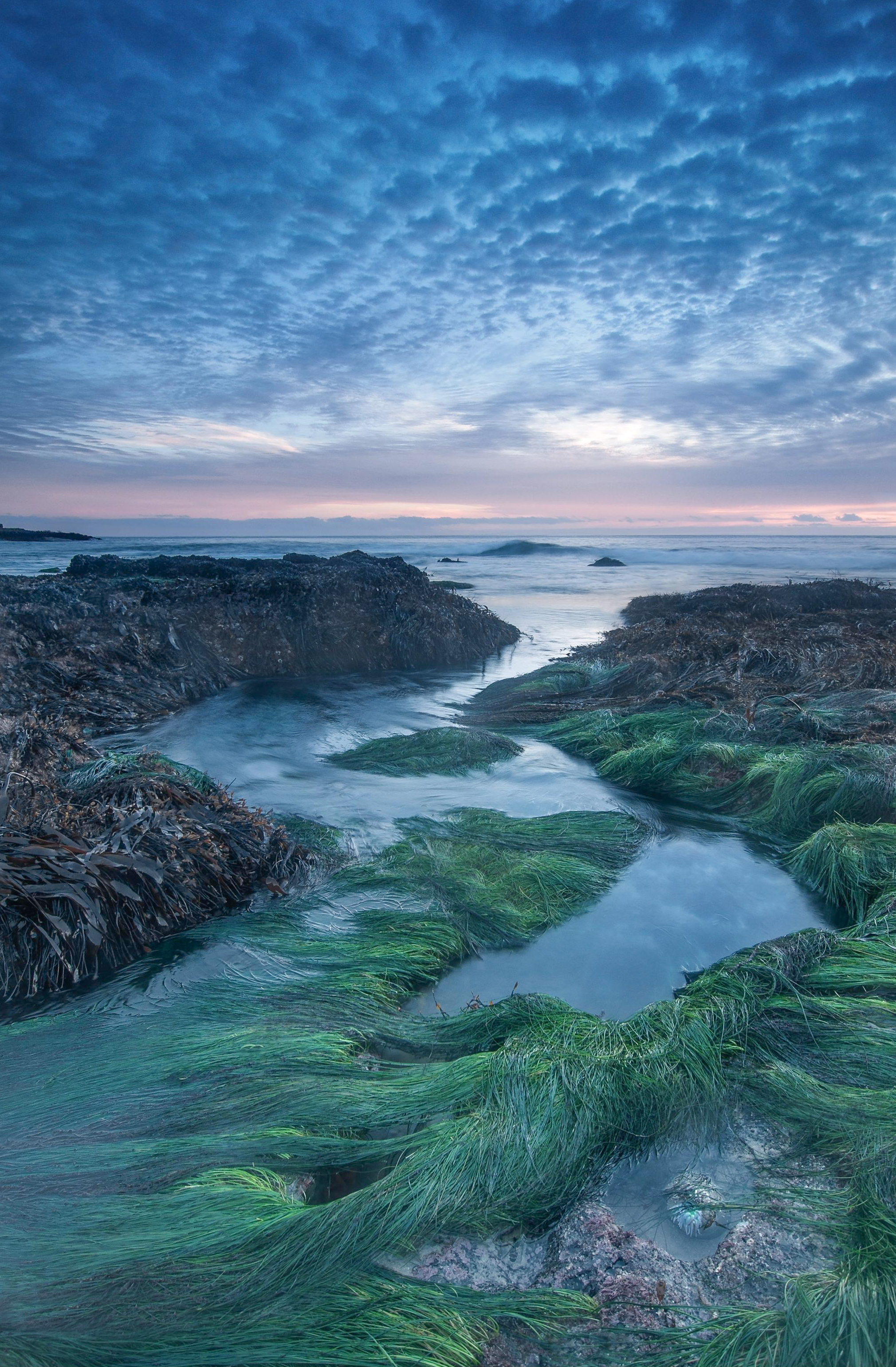 Jacks Beach, California Coast