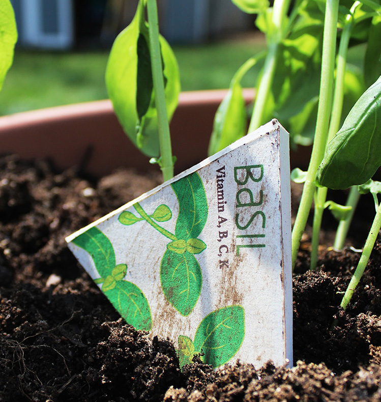 V3-Home Sprouts 7.jpg