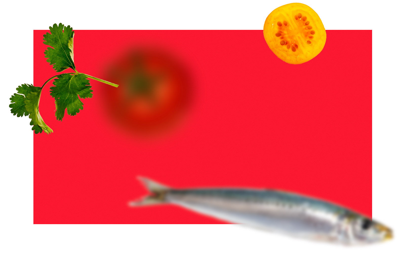 Title_red.jpg