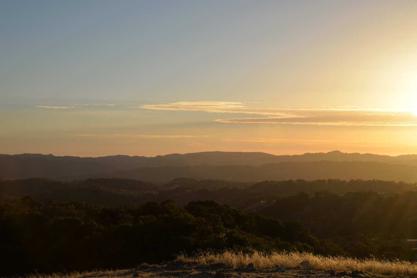 Sunset at Adelaida Cellars.