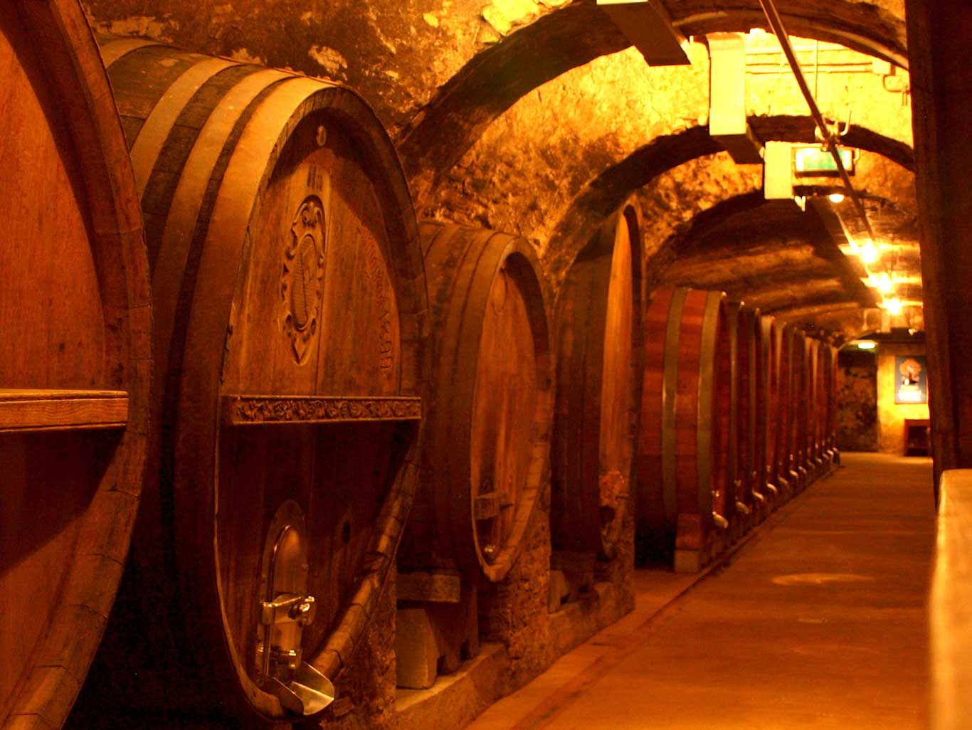 Wooden barrels in the historic cellar of the Juliusspital estate