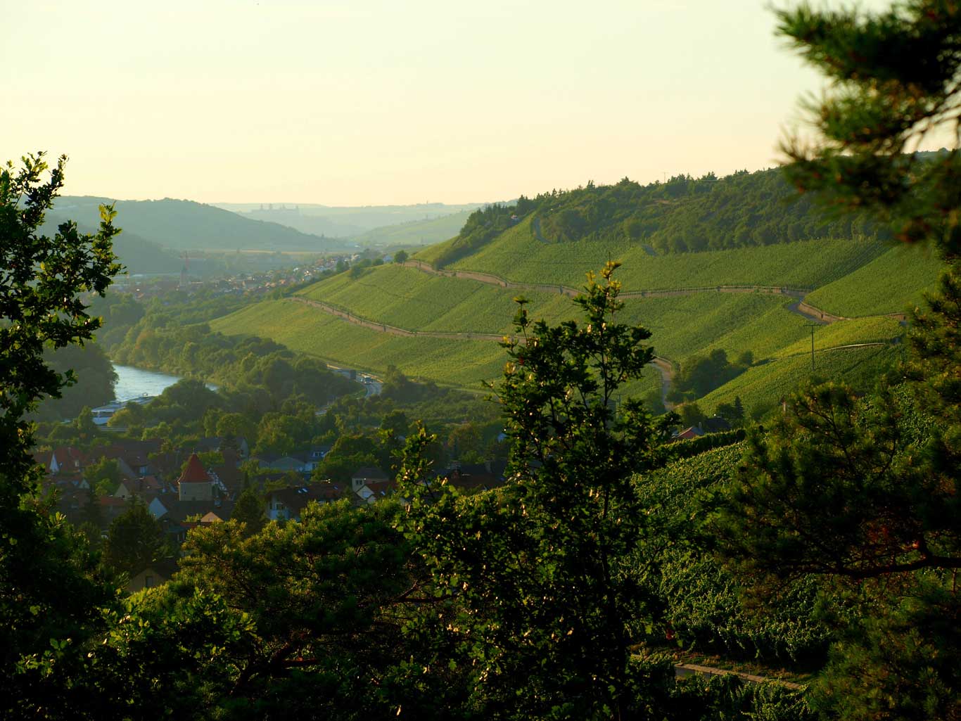 View along the Main valley towards Würzburg