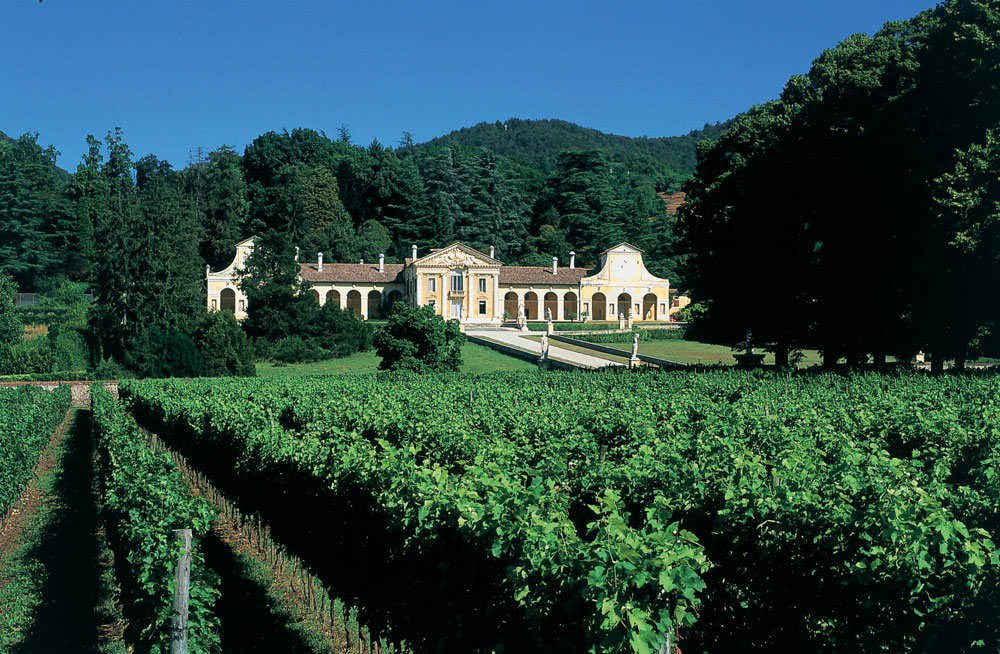 Villa di Maser – View from the Vineyard | Copyright Villa di Maser