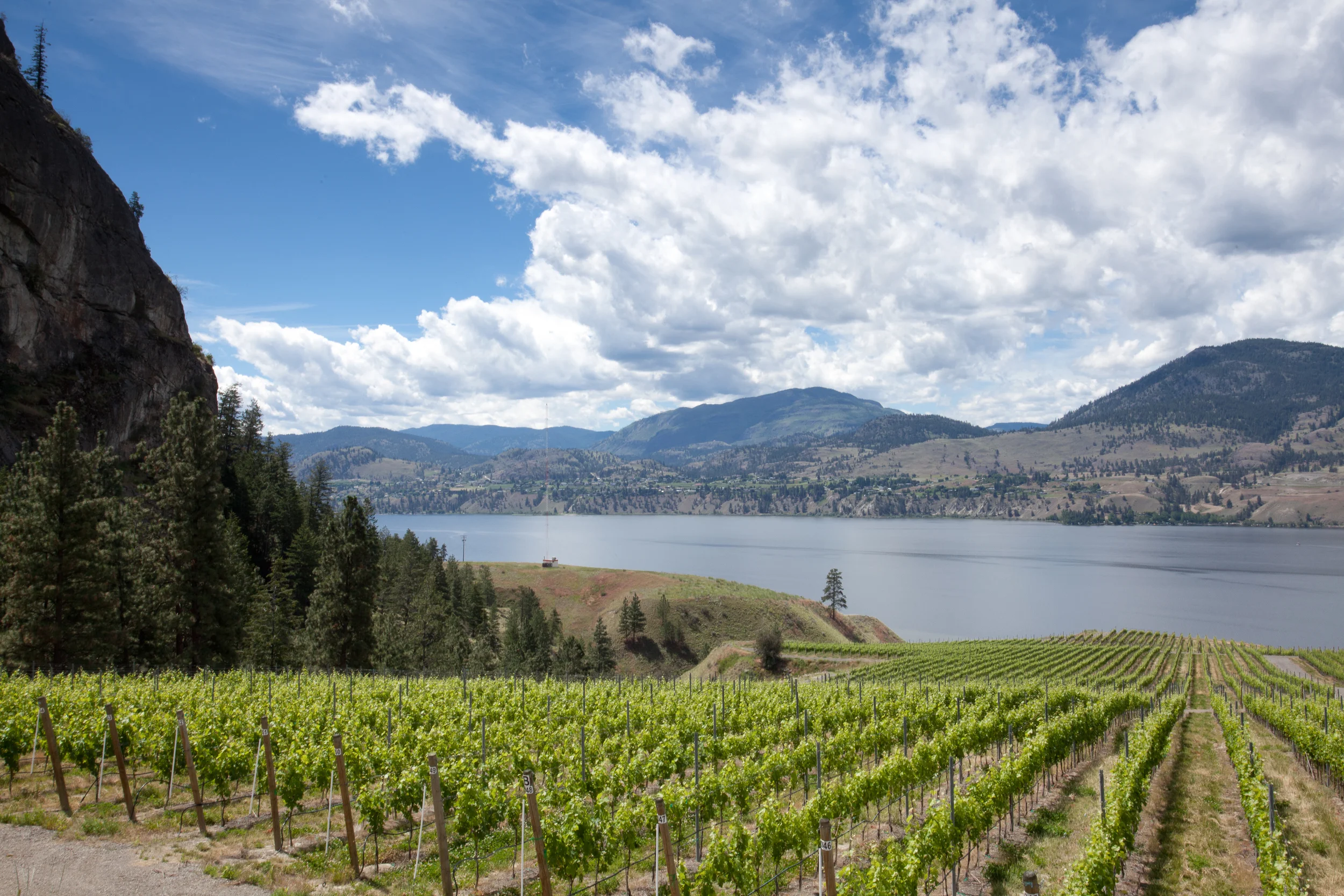 Photo courtesy of winebc.org