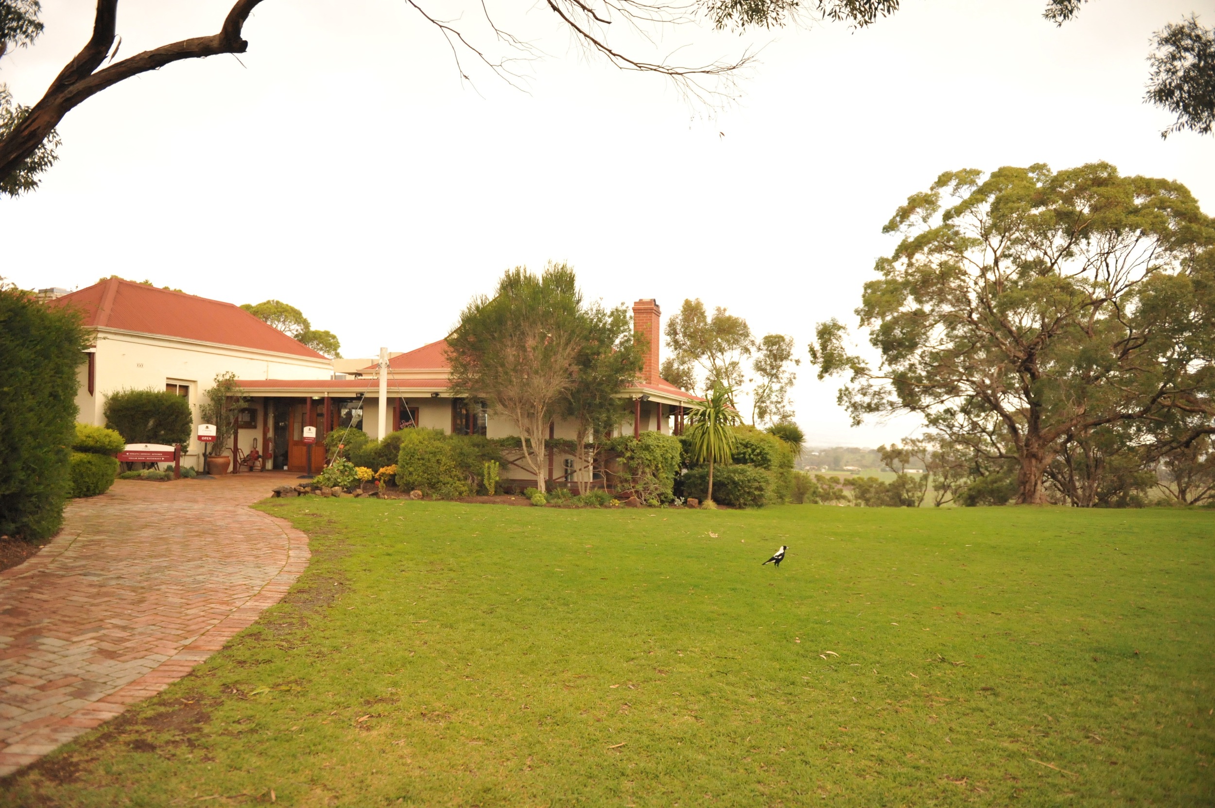 d'Arry's Verandah