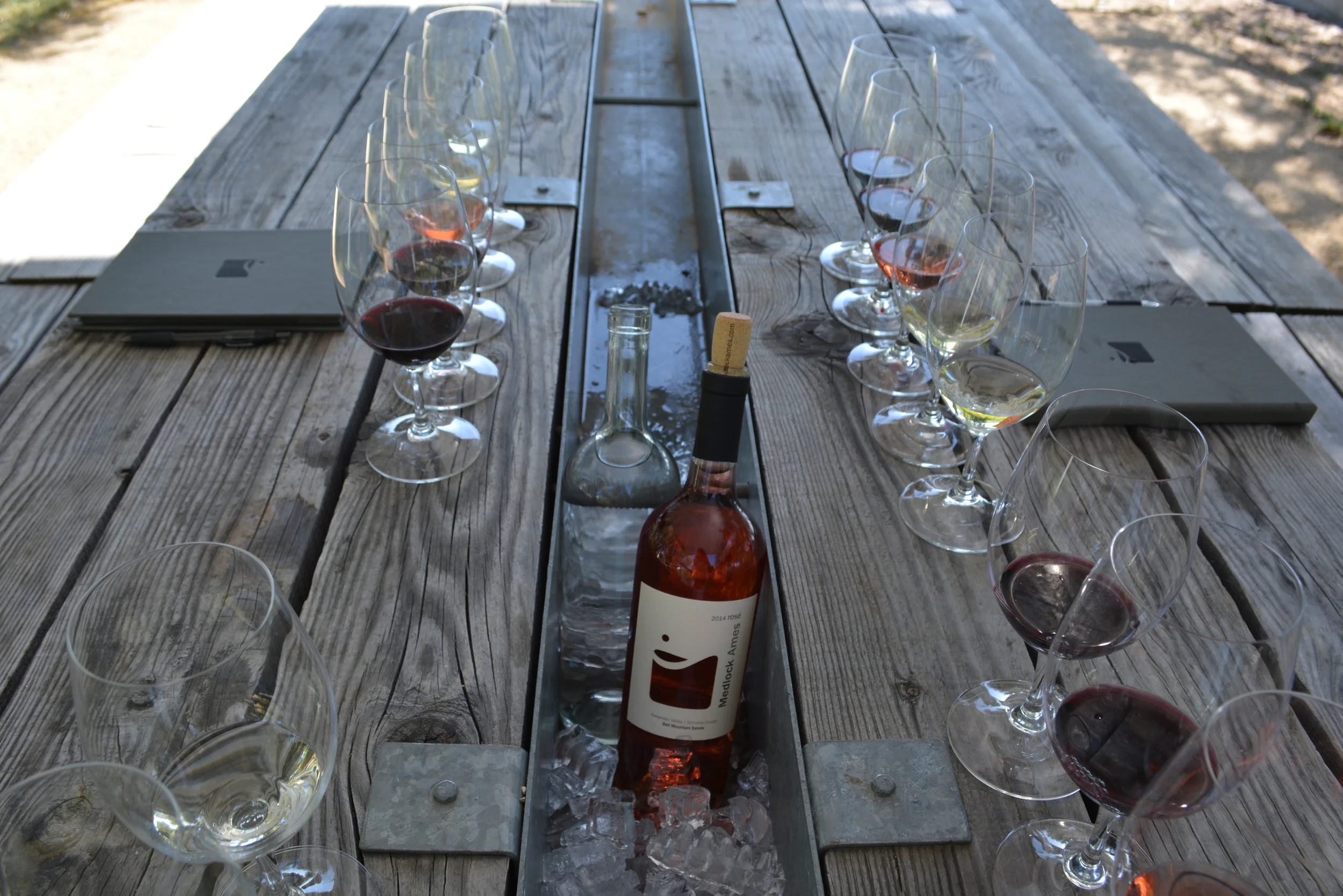 Tasting Plein Air at Medlock Ames - Photo credit Leslie Rosa