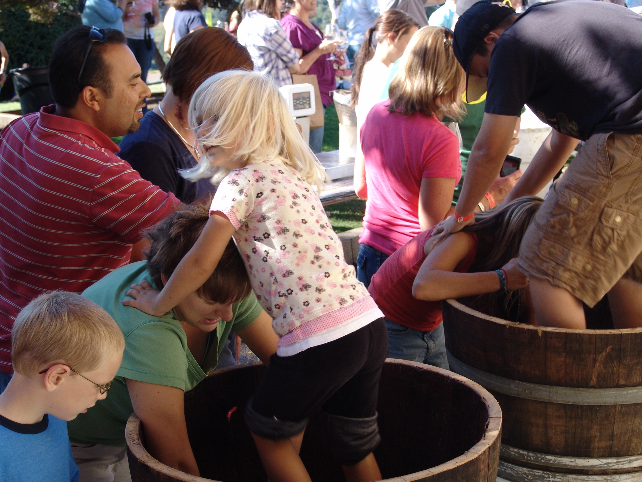Kid Stomp Photo credit to Willamette Valley Vineyards