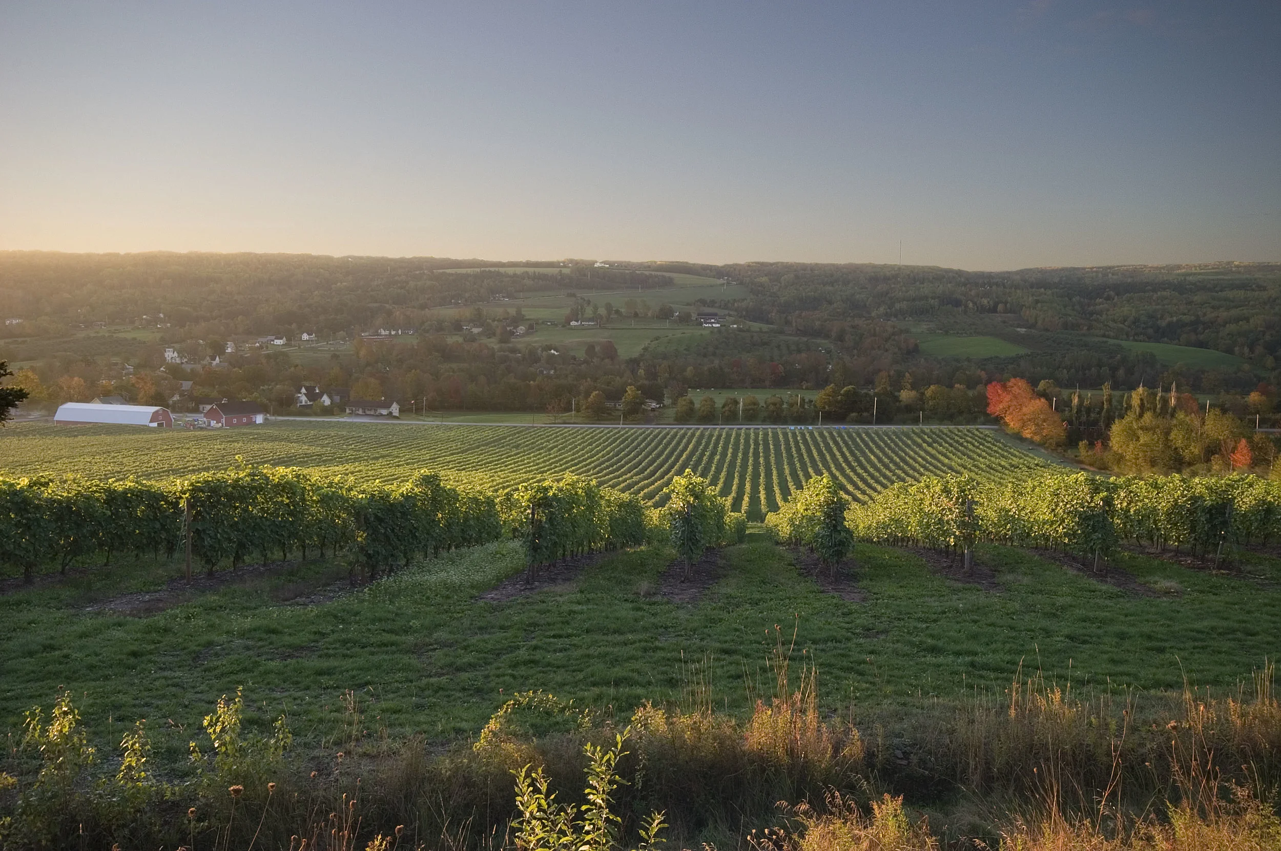 Photo courtesy of the Wolfville BDC