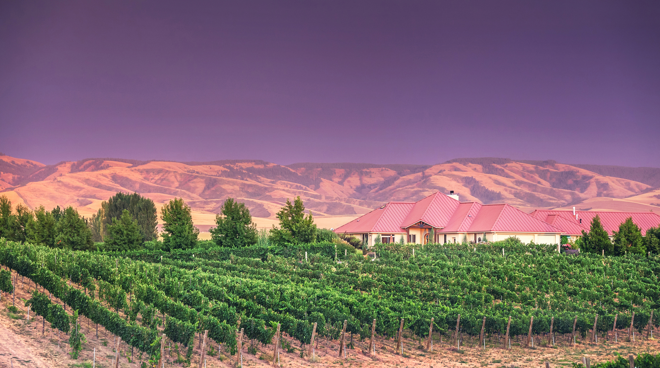 Girasol Inn | Photo Credit: Mark Van Donge
