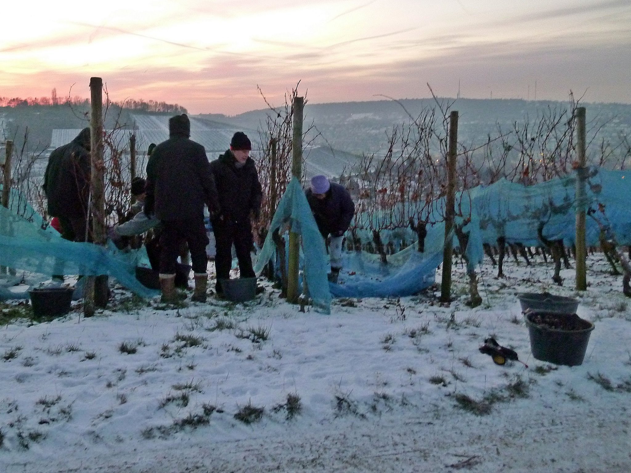 Weingut Reiss in Wurzburg