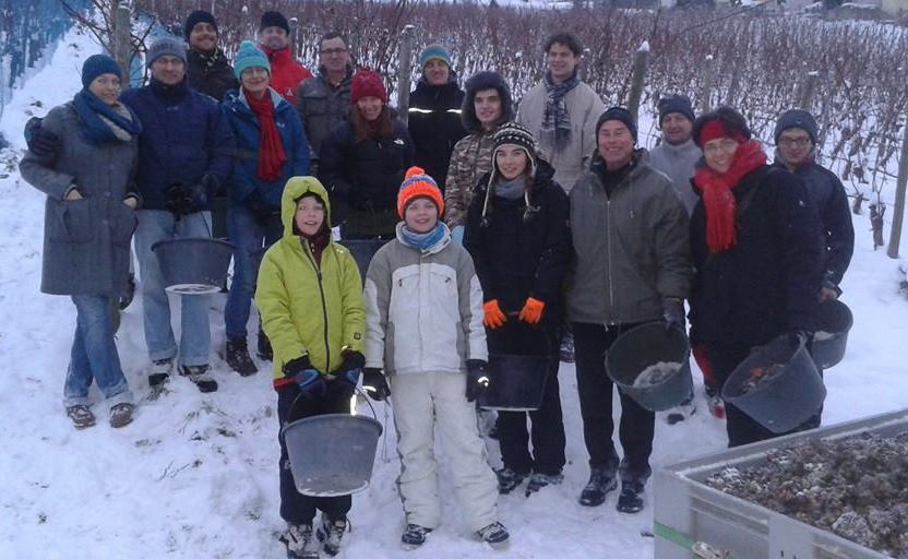 Weingut Reiss