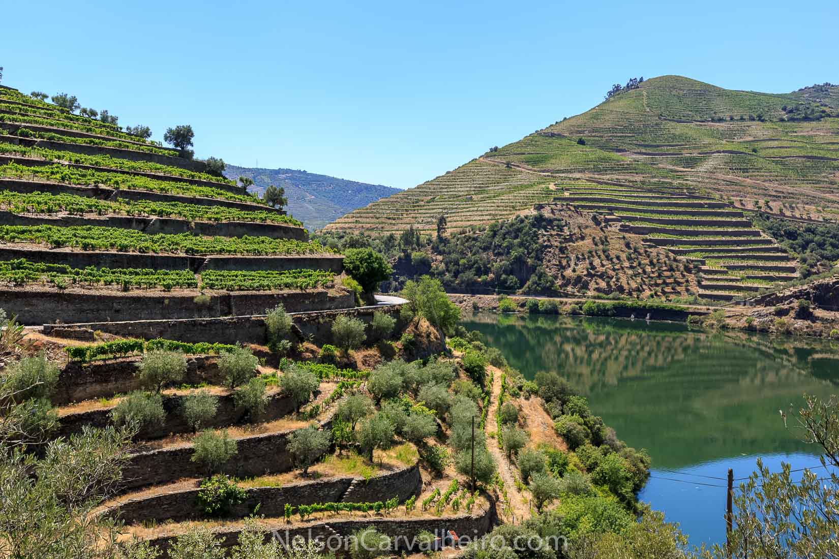 Douro Valley | Photo by: Nelson Carvalheiro