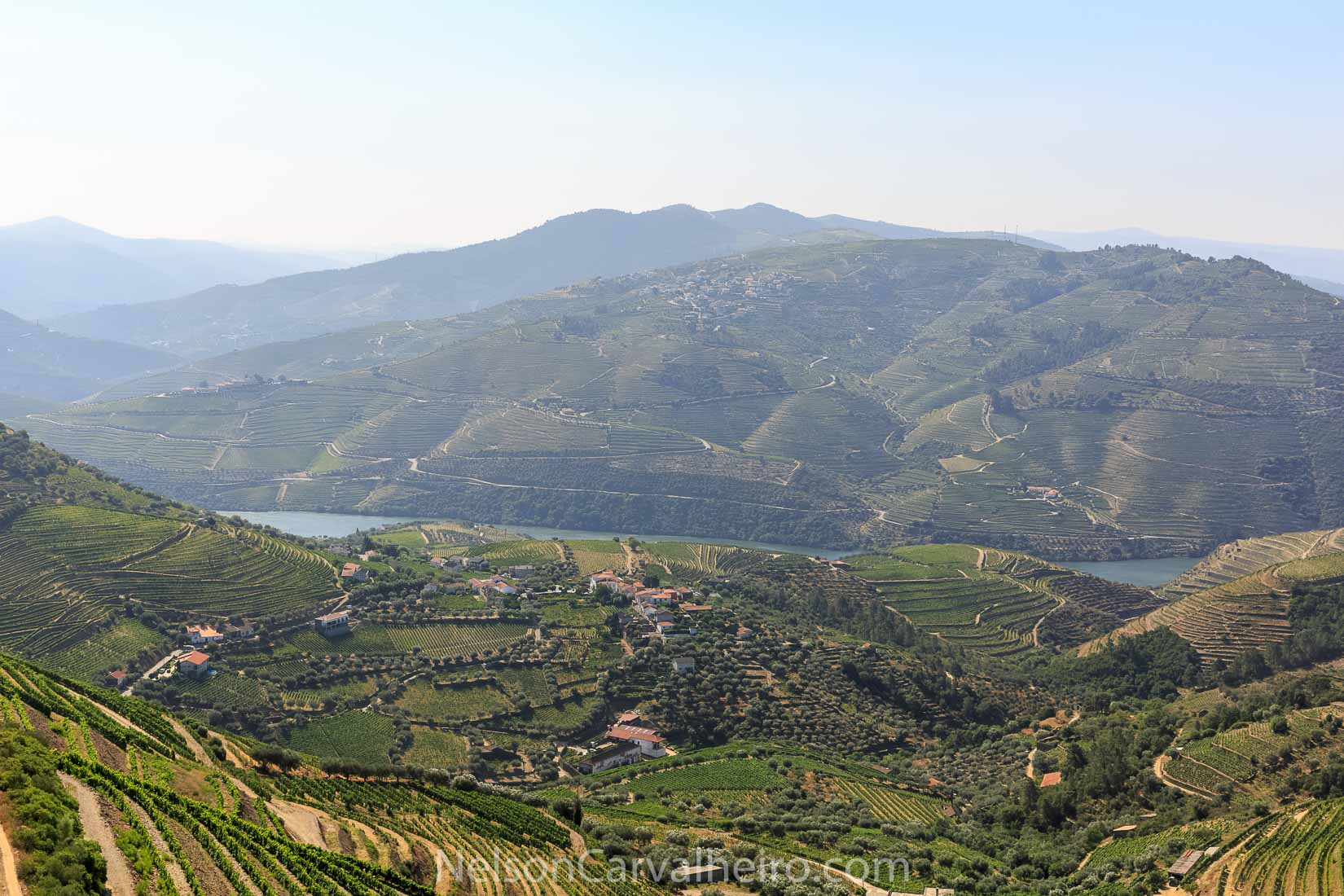 Douro Valley Landscape | Photo by: Nelson Carvalheiro