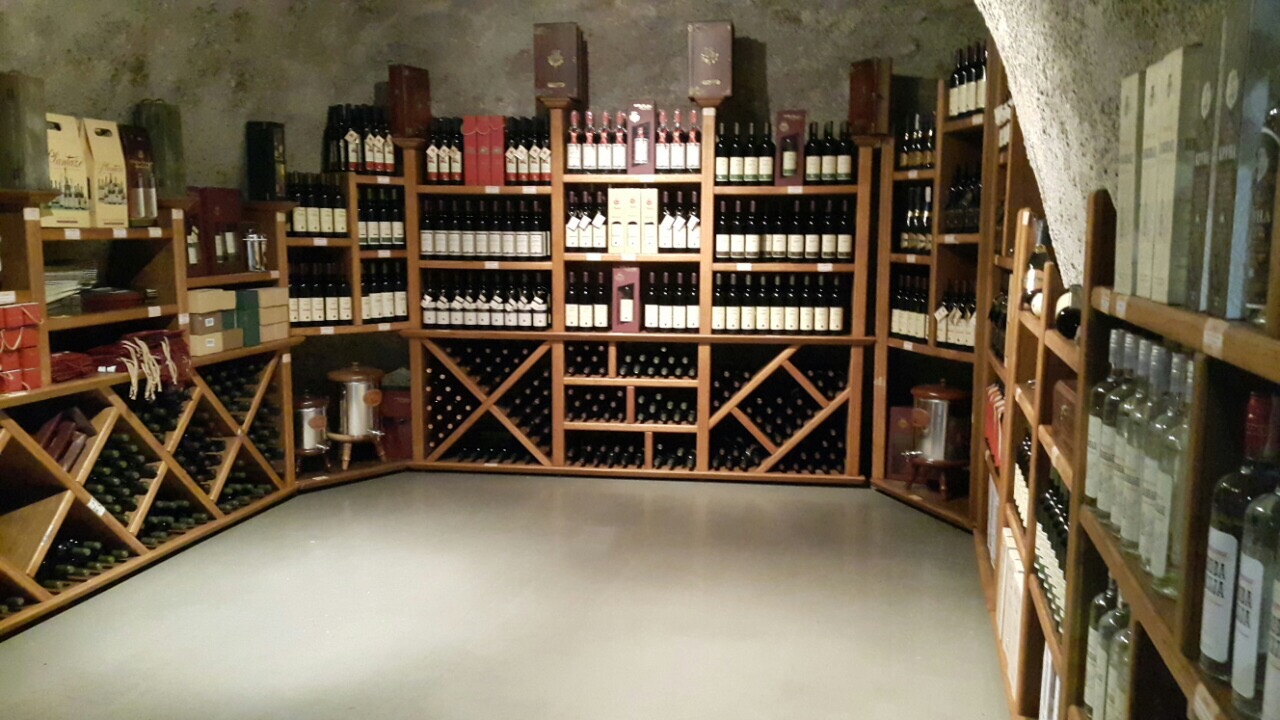 The Wines at Plantaze Vineyard
