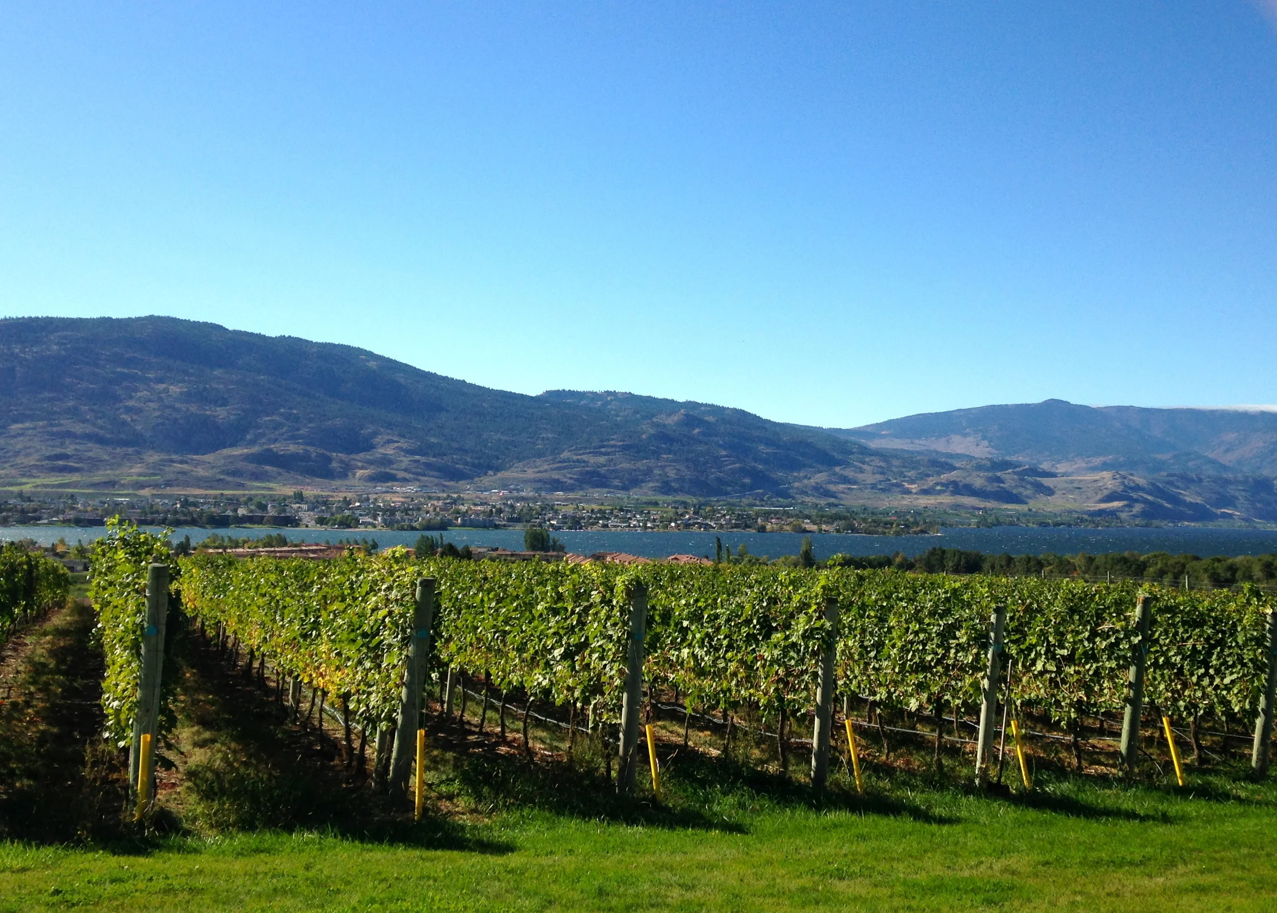 Moon Curser, Osoyoos, B.C.