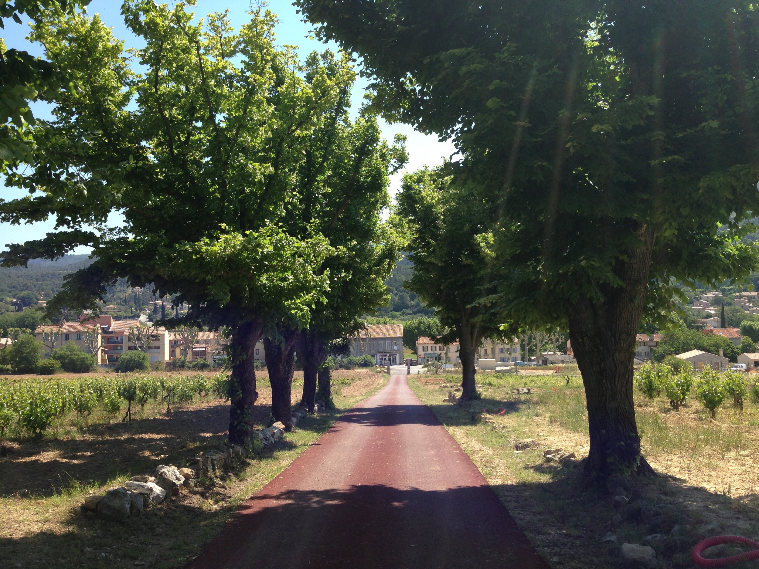 "When you travel to a winery, take time to go on a tour..."