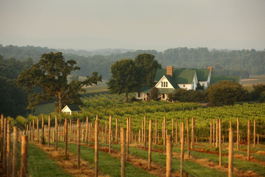 The Beautiful View of Shelton Vineyards