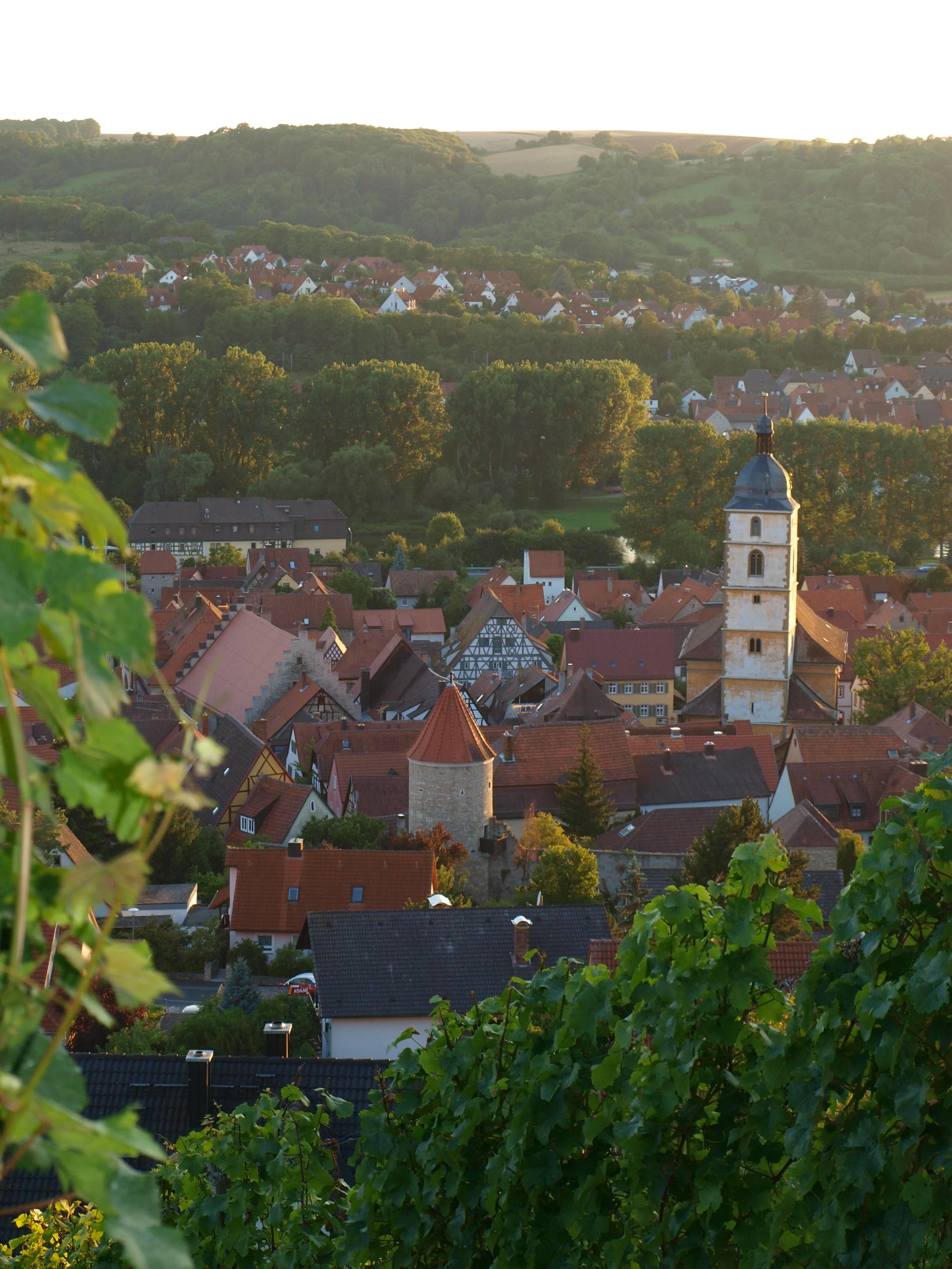 Sommerhausen - Viewed from the Vineyard