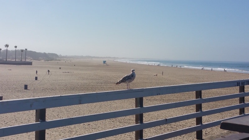 "A Classic, Laid Back, California Beach Town"