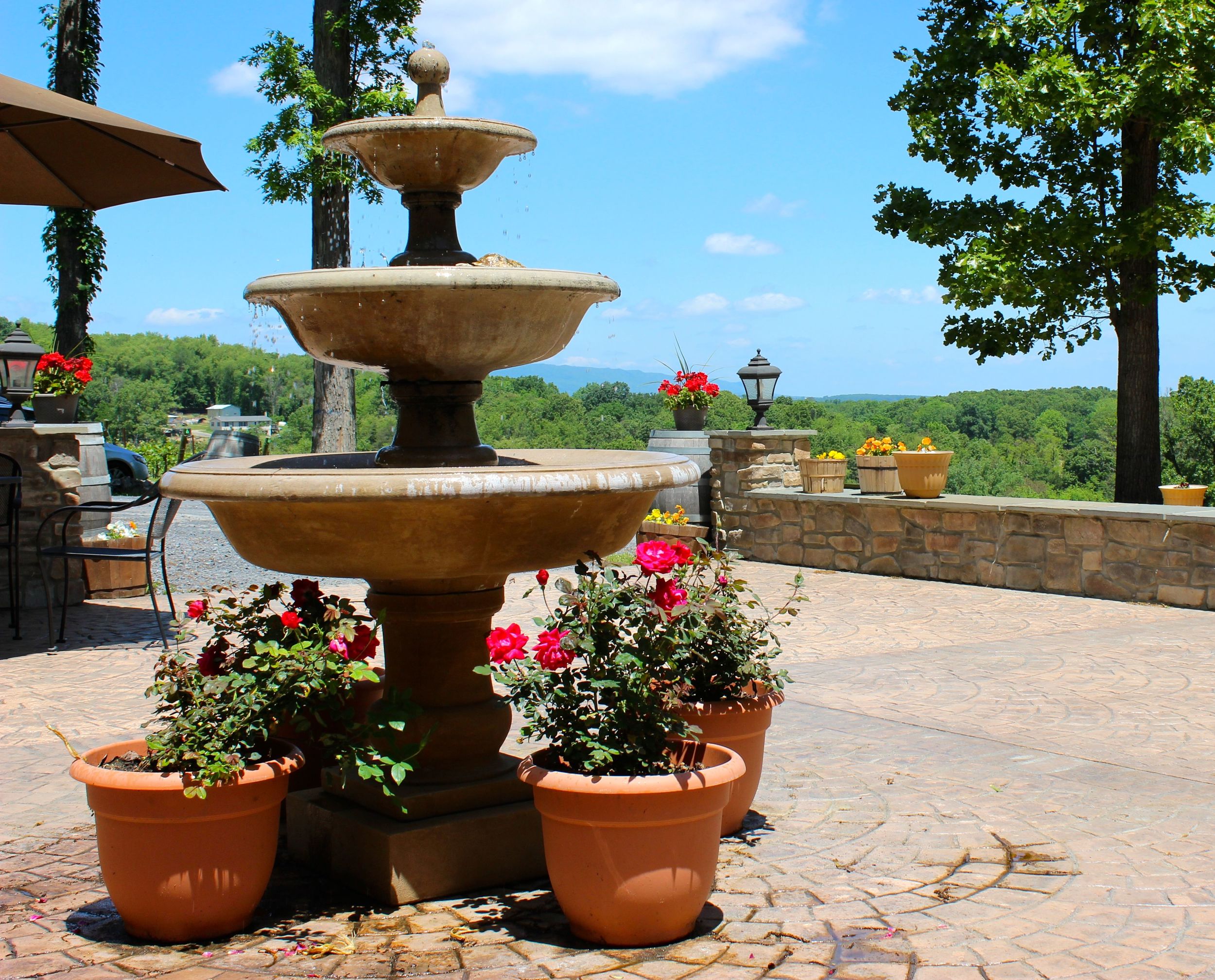 Springtime at Cave Ridge Vineyards