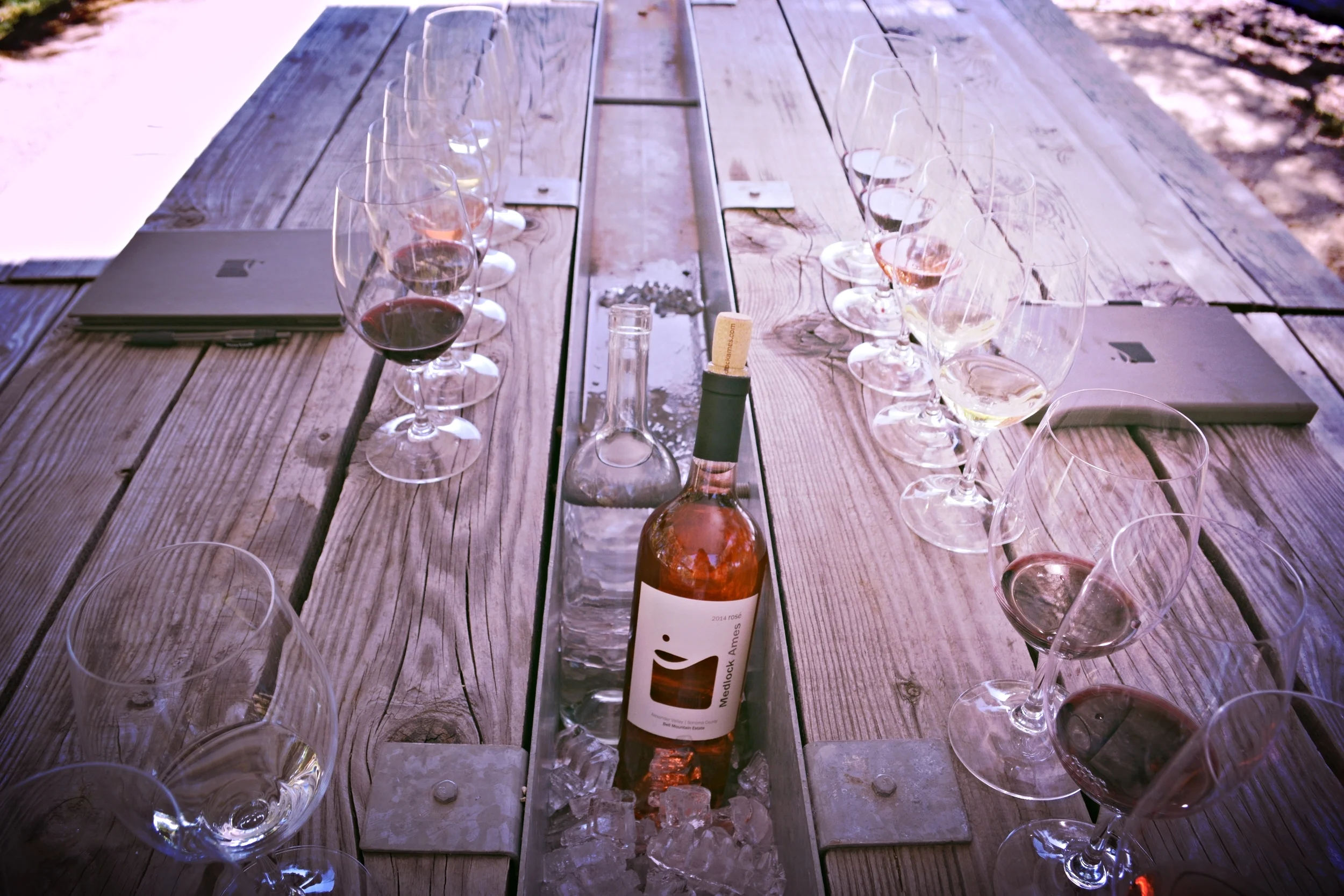 Wine Tourist - California Rose - Tasting Plein Air at Medlock Ames - Photo credit Leslie Rosa