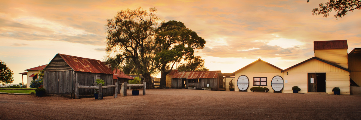 Tyrrells Wines - Cellar Door and Old Hut at sunrise | Photo Credit: Tyrrells Wines