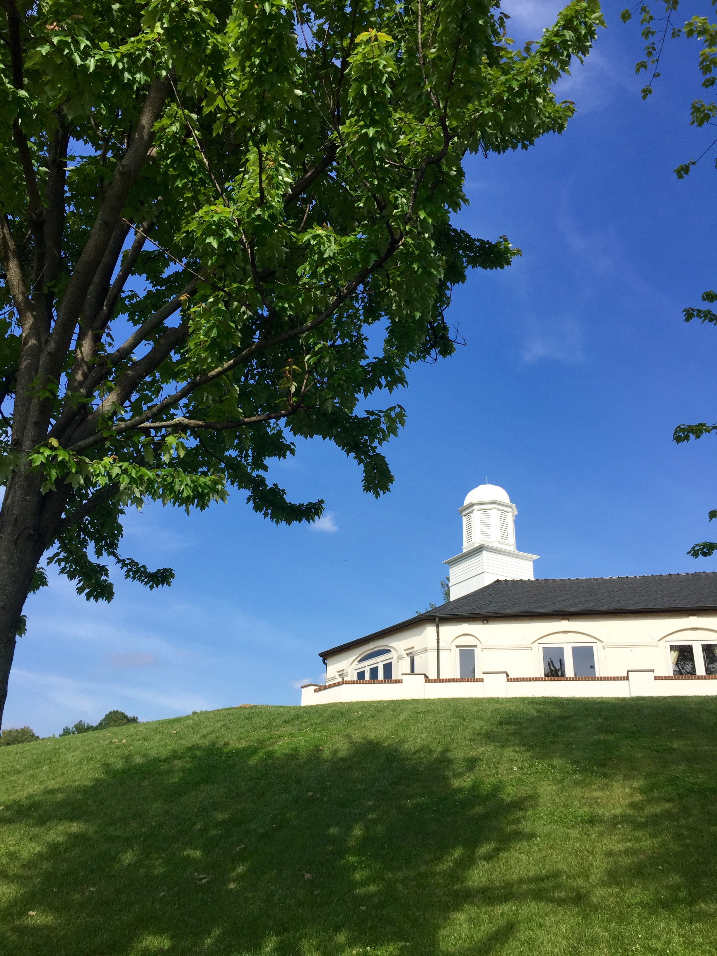 Barboursville Vineyards